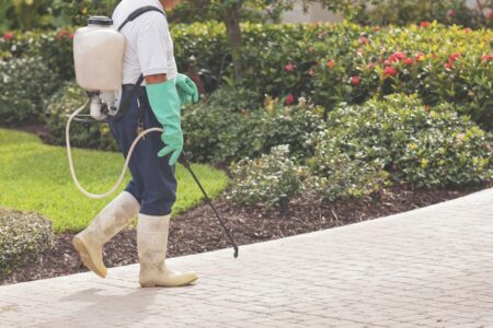 Spinosad for natural pest control